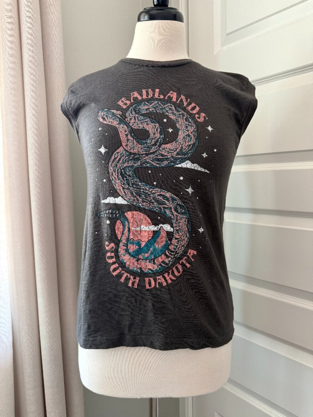 Girl Dangerous Badlands South Dakota Graphic Tank Top : XS